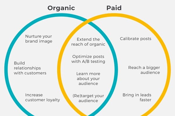 Paid Ads vs. Organic Growth: When to Use Each?